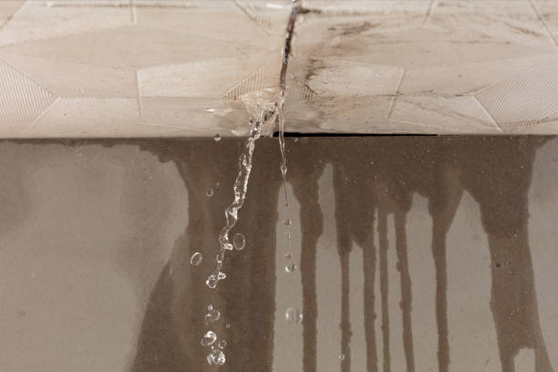 Professional Structural Drying technician working in Mitchell, GA